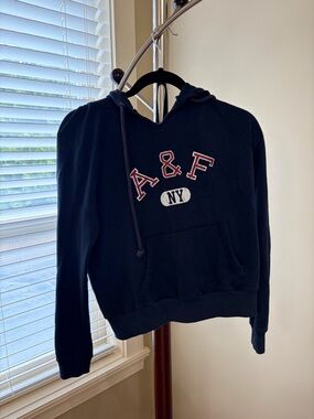 Abercrombie & Fitch Navy A&F NY Logo Hoodie